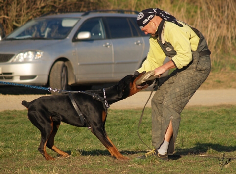 Training in Prague 3/2007